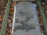 image of grave number 382934